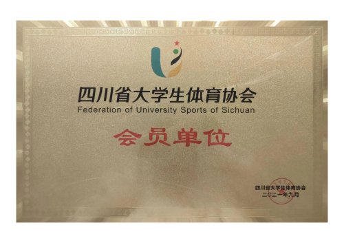文化服务教研室专任教师校团委副书记