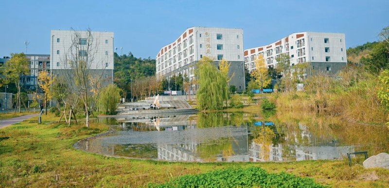 0817-6338899 办学突出问