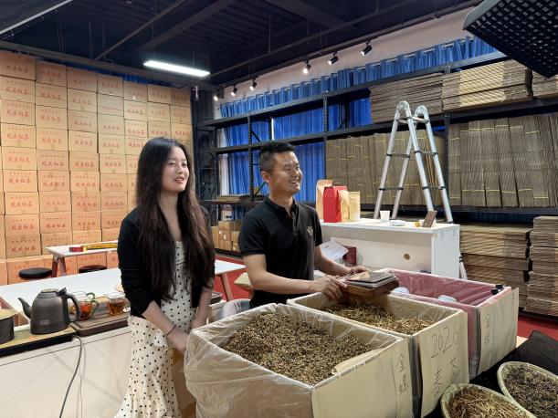 专任教师杨琛